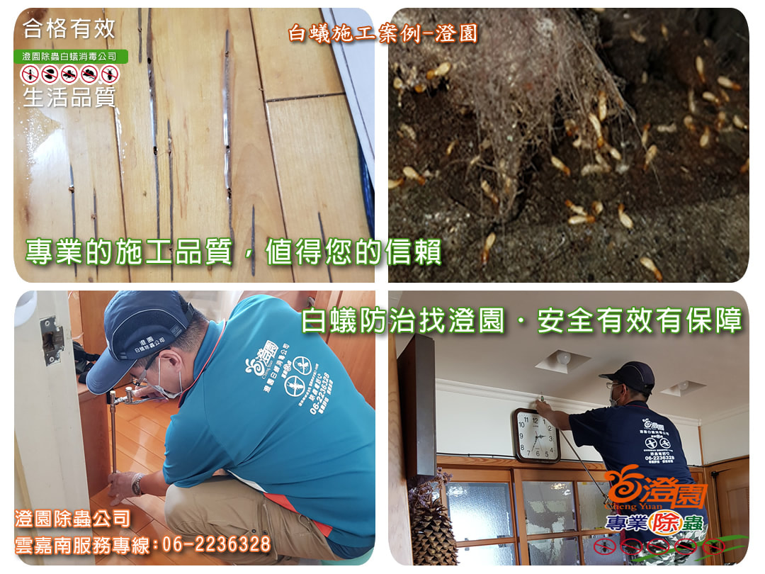 台南南區住家木質地板、天花板除白蟻